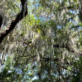 Review photo of Jekyll Island Campground by The School for Y., June 9, 2020