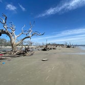 Review photo of Jekyll Island Campground by The School for  Y., June 9, 2020