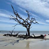 Review photo of Jekyll Island Campground by The School for Y., June 9, 2020