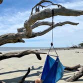 Review photo of Jekyll Island Campground by The School for Y., June 9, 2020