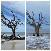 Review photo of Jekyll Island Campground by The School for Y., June 9, 2020