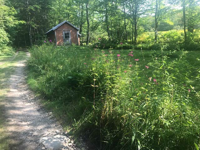 Camper submitted image from Maple Hill Campsites - 4