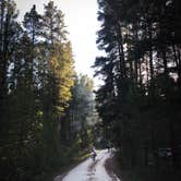 Review photo of Silver Dollar by Nicolas G., June 9, 2020