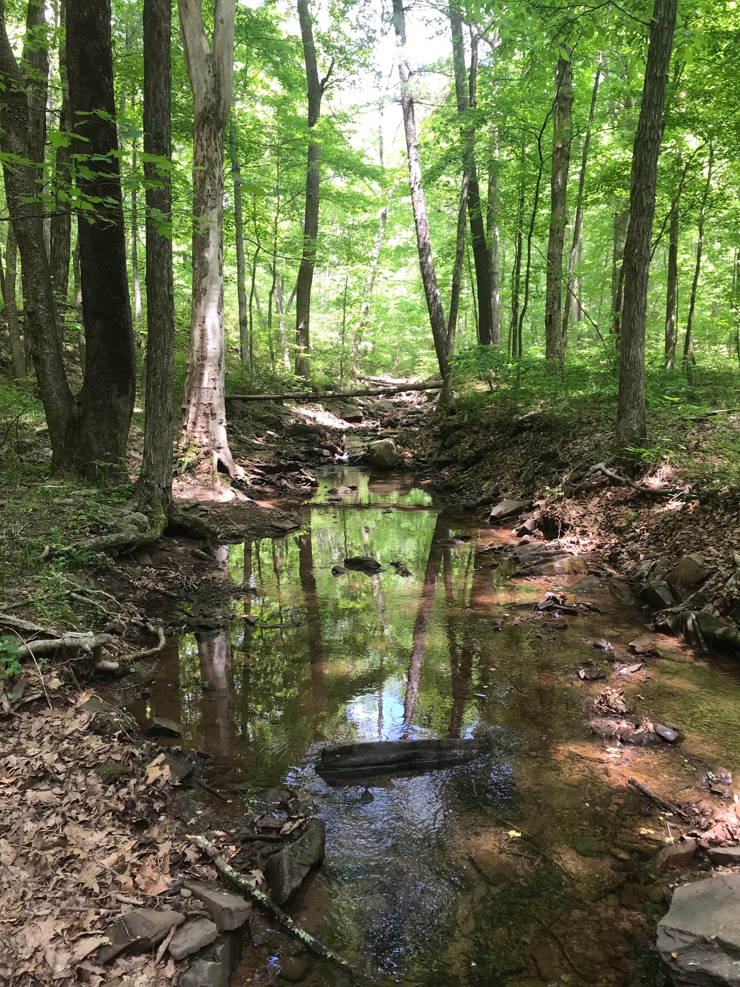 Devil's Alley Hiker-biker Overnight Campsite — Chesapeake and Ohio Canal National Historical Park