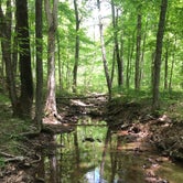 Review photo of Devil's Alley Hiker-biker Overnight Campsite — Chesapeake and Ohio Canal National Historical Park by Spencer V., June 9, 2020