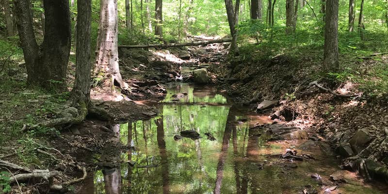 Camper submitted image from Devil's Alley Hiker-biker Overnight Campsite — Chesapeake and Ohio Canal National Historical Park
