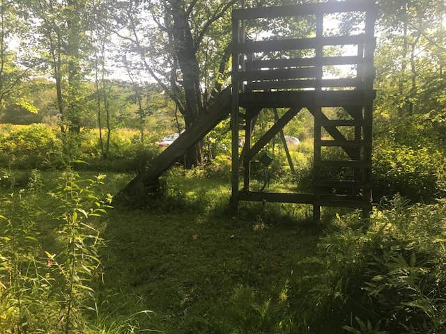 Camper submitted image from Maple Hill Campsites - 3