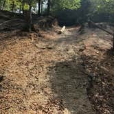 Review photo of Paradise Ranch RV Resort by Cat R., June 9, 2020