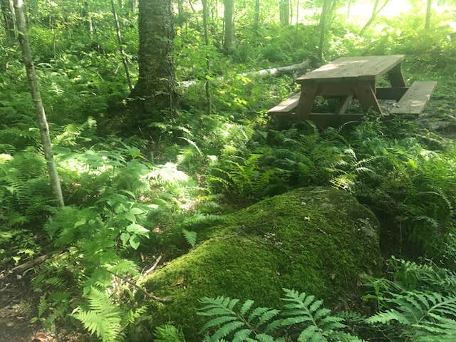 Camping near Mount Philo State Park Campground: Maple Hill Campsites, Bristol, Vermont