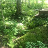 Review photo of Maple Hill Campsites by Jen V., October 16, 2017