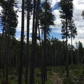 Review photo of Palisades Campground by Bjorn S., June 9, 2020