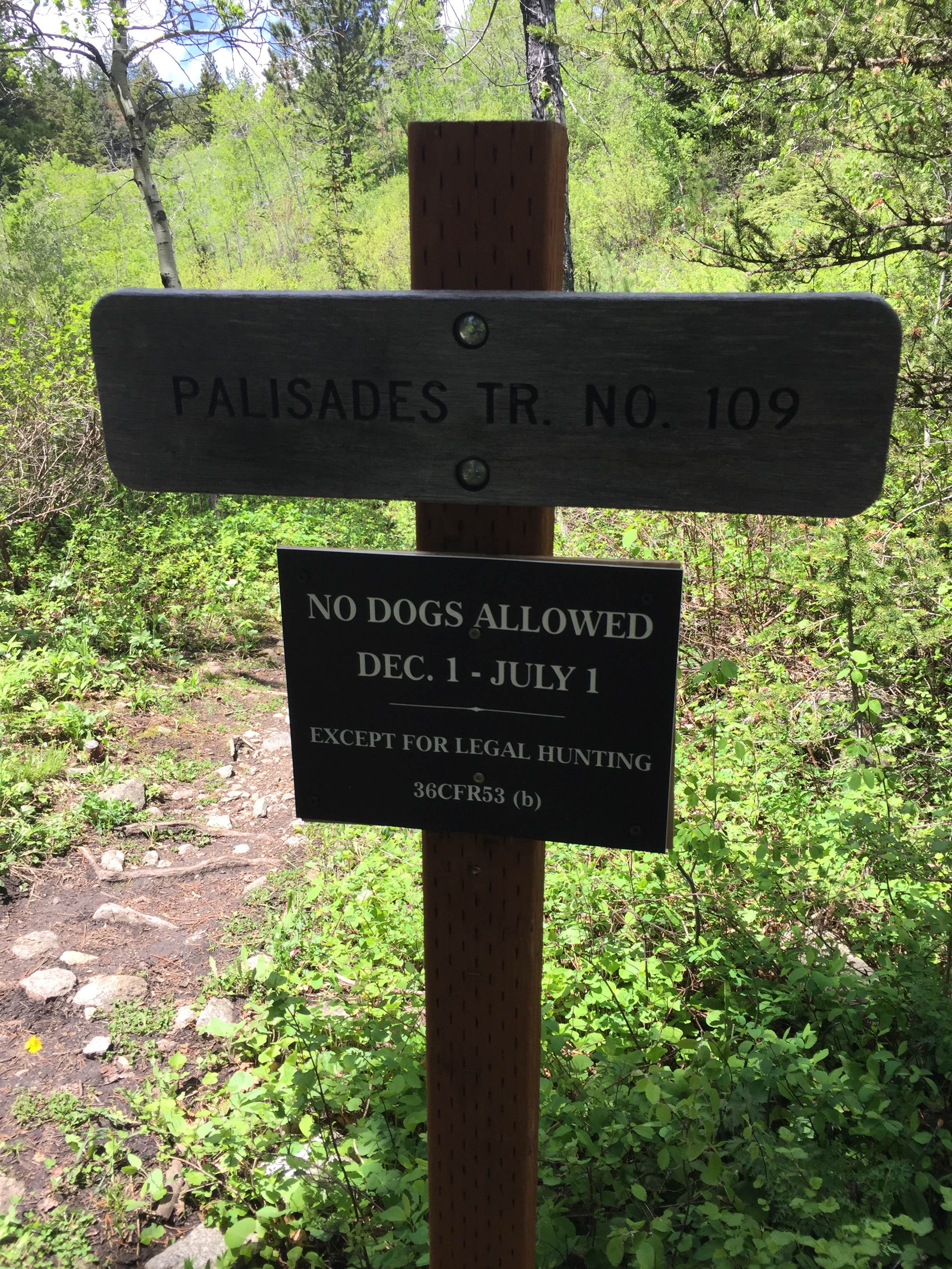 Camper-submitted photo at Palisades Campground near Cameron, MT