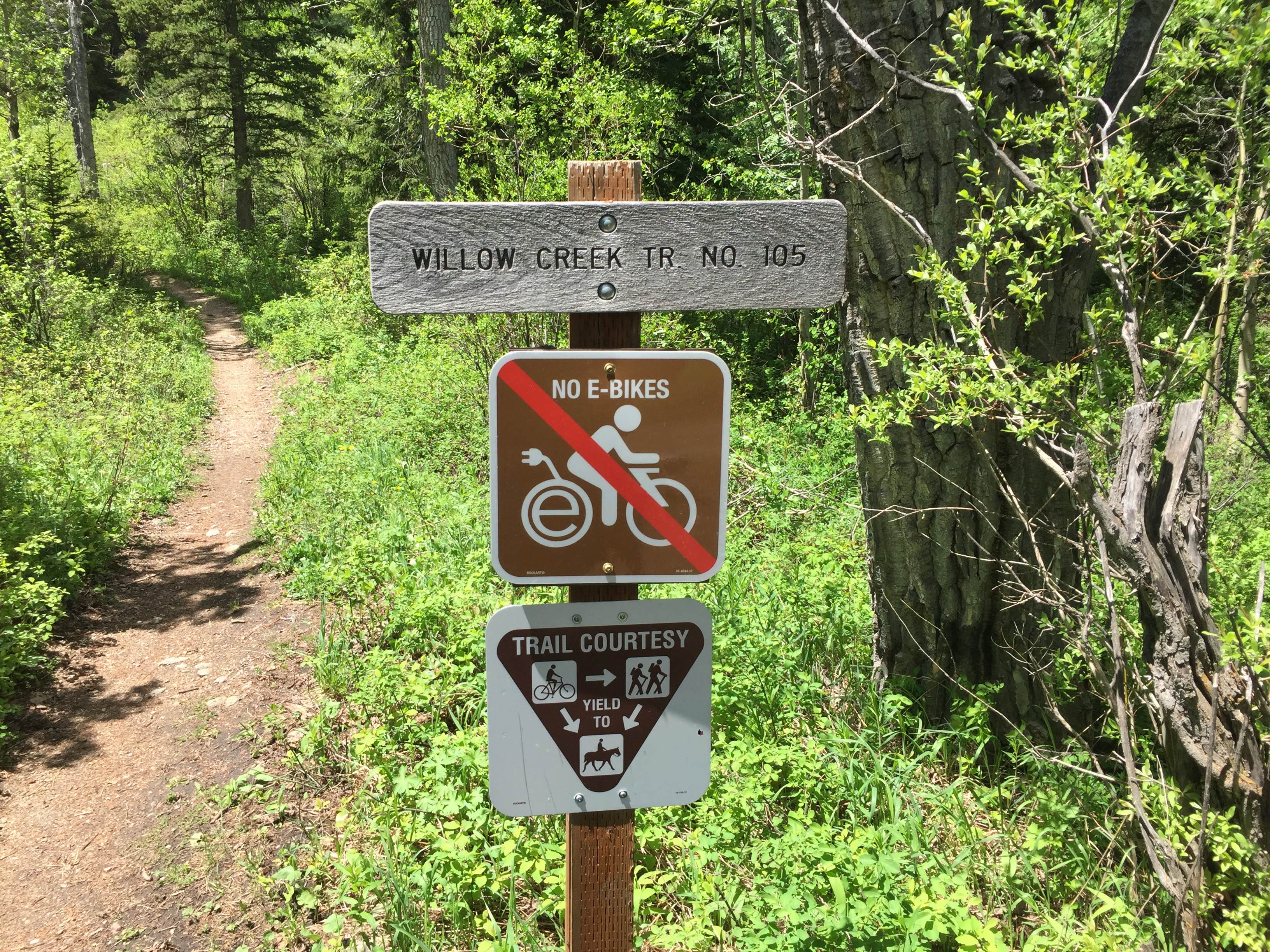 Camper-submitted photo at Palisades Campground near Cameron, MT