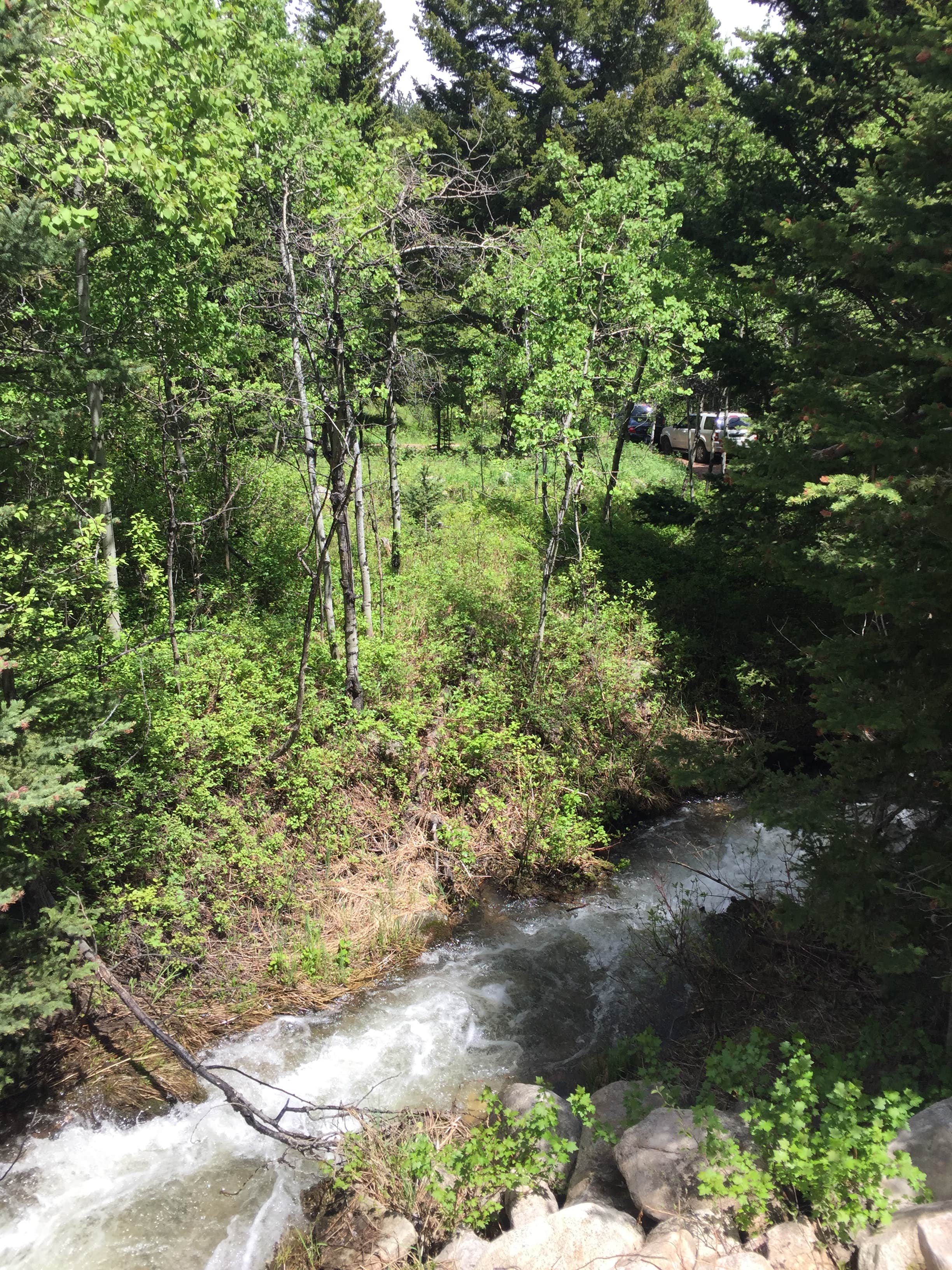 Camper-submitted photo at Palisades Campground near Cameron, MT