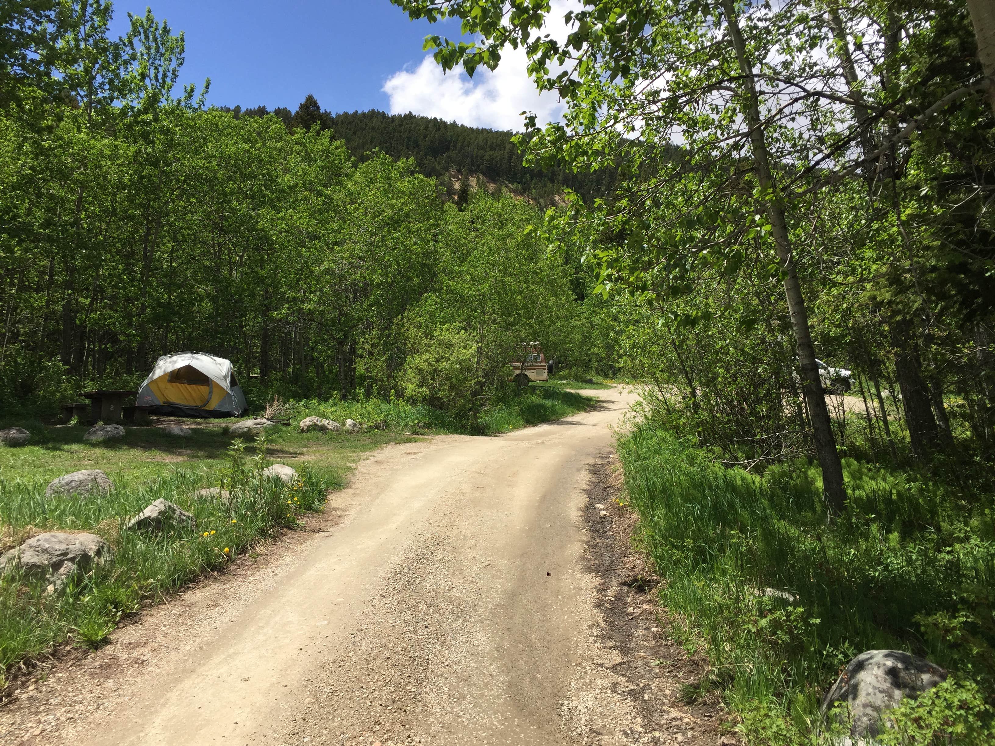 Bjorn S.'s photo at Palisades Campground - Custer Gallatin National Forest near Ennis, MT