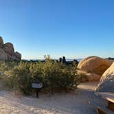 Review photo of Indian Cove Campground — Joshua Tree National Park by Jenna R., June 9, 2020