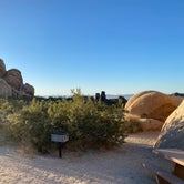 Review photo of Indian Cove - Joshua Tree National Park by Jenna R., June 9, 2020