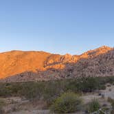 Review photo of Indian Cove Campground — Joshua Tree National Park by Jenna R., June 9, 2020