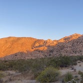 Review photo of Indian Cove Campground — Joshua Tree National Park by Jenna R., June 9, 2020