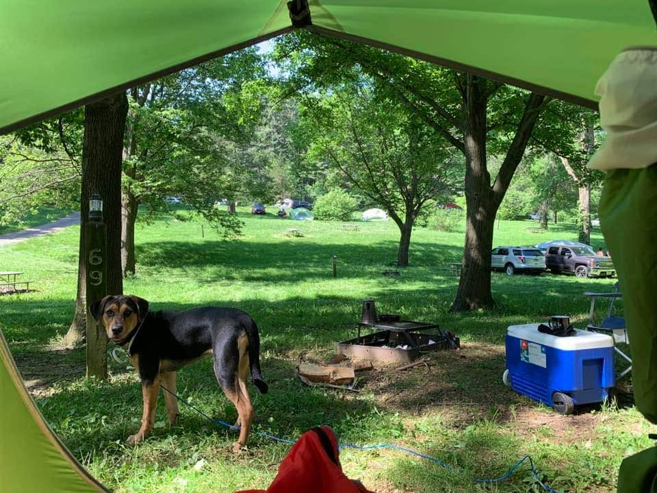 Amanda P.'s photo of camping with pets at White Pines Forest State Park Campground near Rochelle, IL