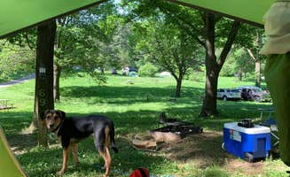 Amanda P.'s photo of camping with pets at White Pines Forest State Park Campground near Morrison, IL