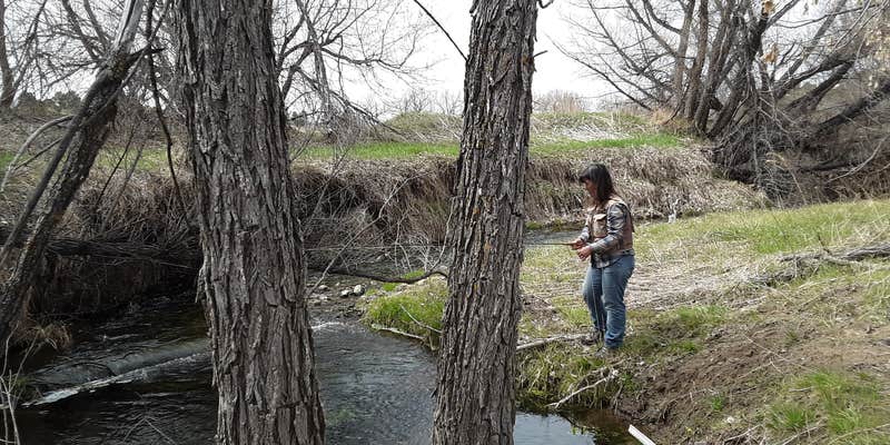 Camper submitted image from Q's Dairy Sweet