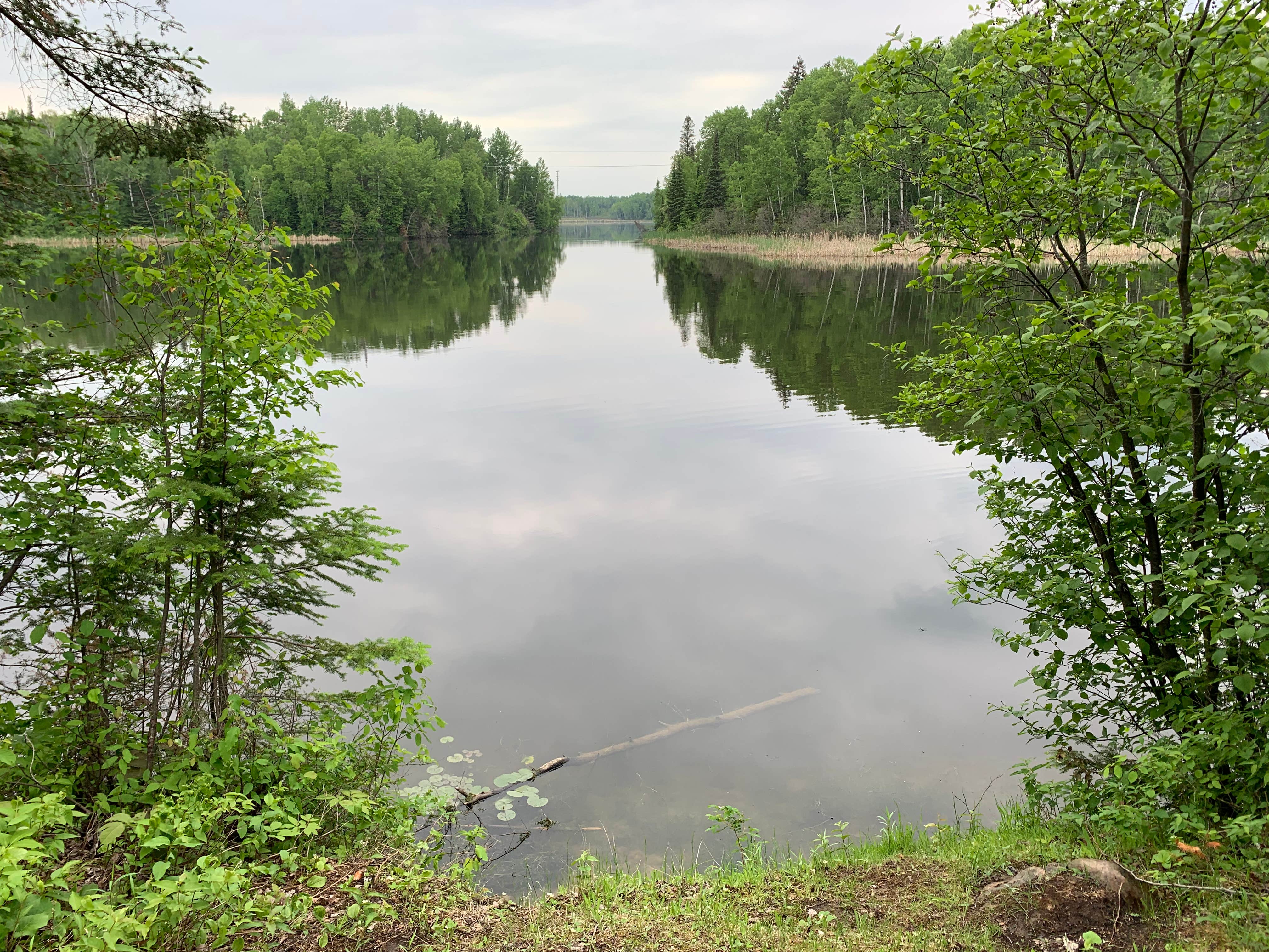 Camper-submitted photo at West Two River near Chisholm, MN