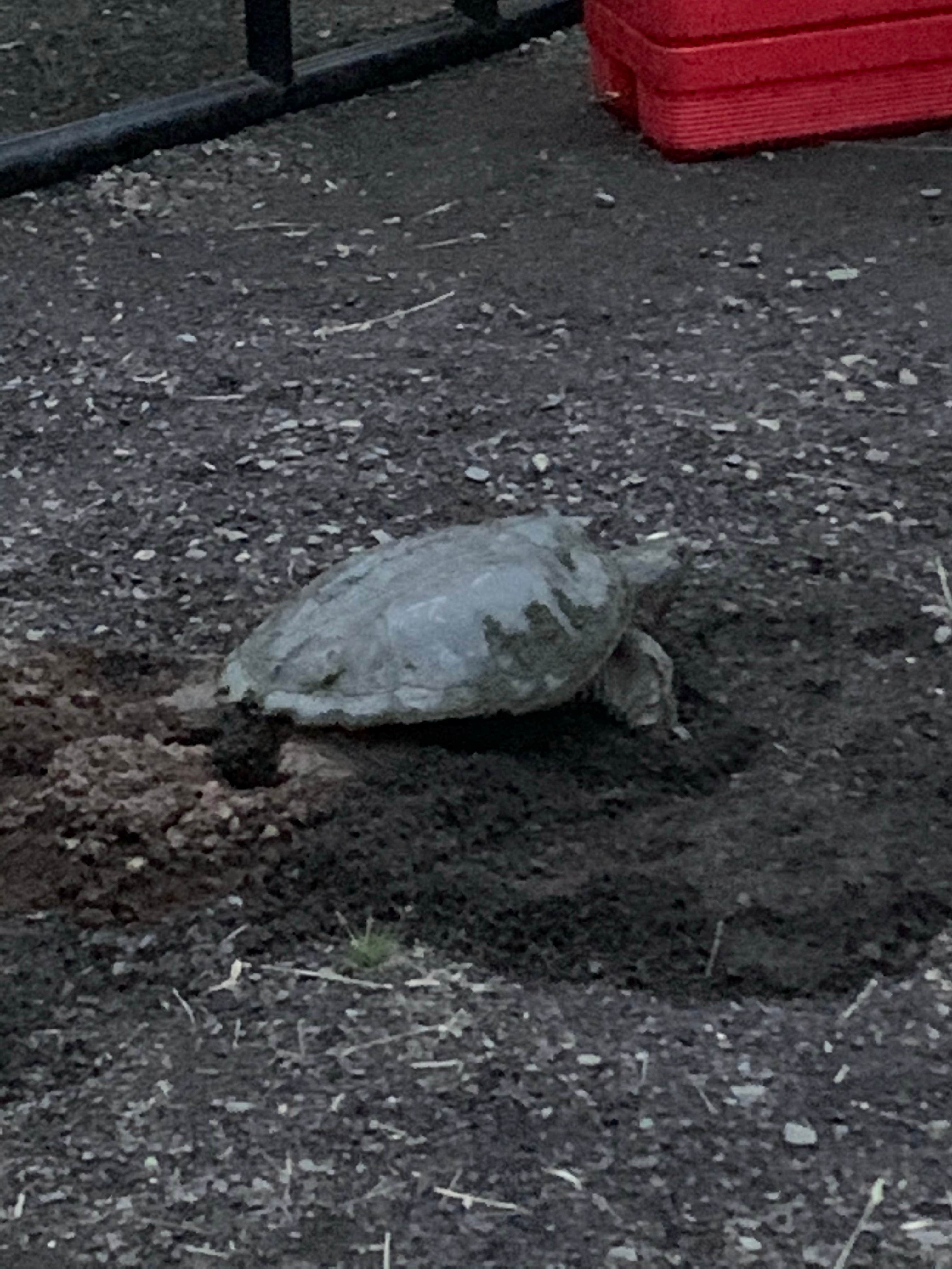 Camper-submitted photo at West Two River near Chisholm, MN