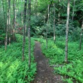 Review photo of Moccasin Creek State Park Campground by Matt M., June 10, 2020