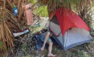 Alacyn B.'s photo at Shell Key Preserve near Gulfport, FL