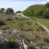 Review photo of Shell Key Preserve by Alacyn B., June 10, 2020