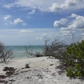 Review photo of Shell Key Preserve by Alacyn B., June 10, 2020