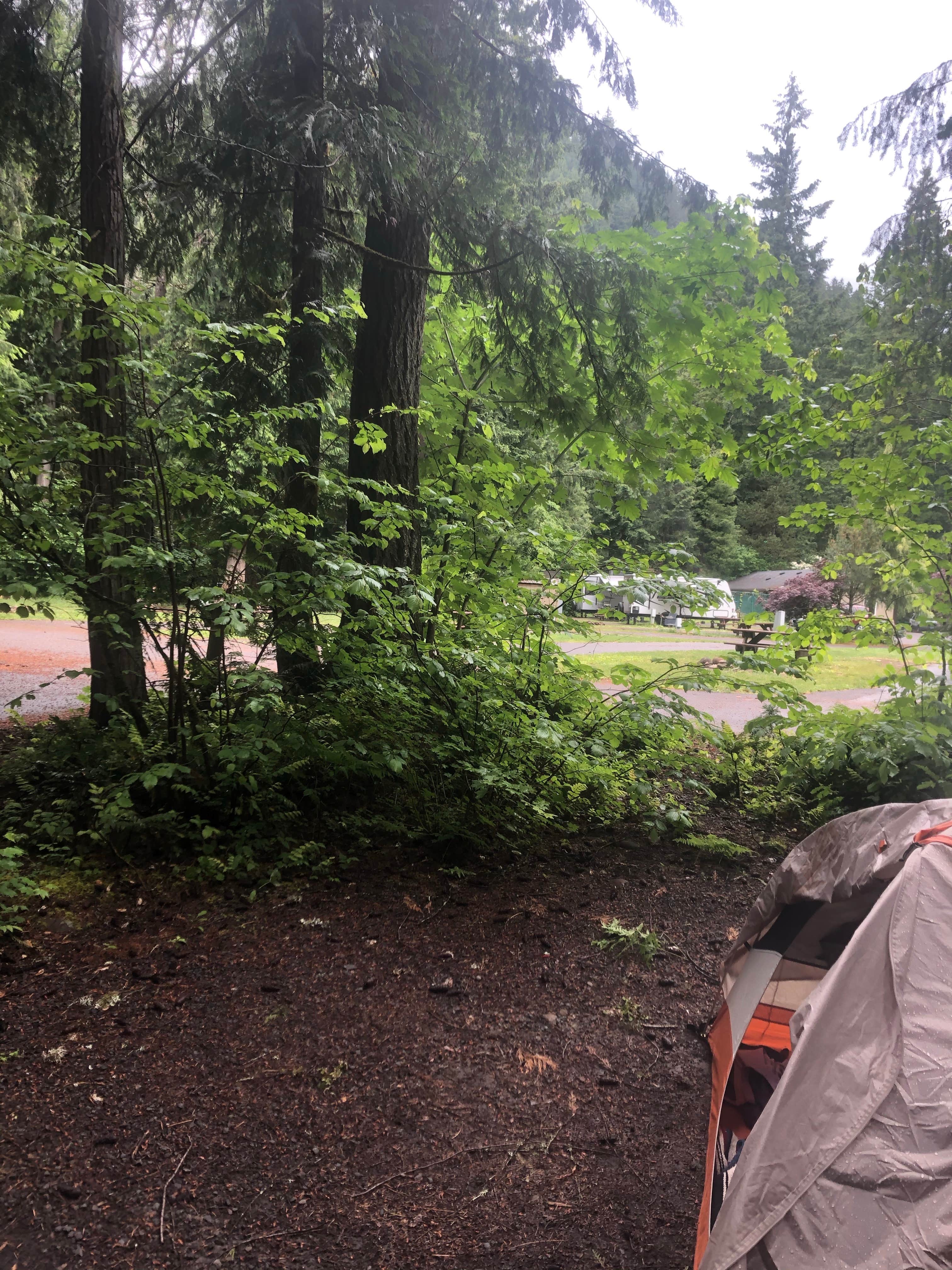 Camper submitted image from Belknap Hot Springs Lodge and Gardens - 4
