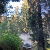 Review photo of Samuel P. Taylor State Park Campground by Beronica  D., June 10, 2020