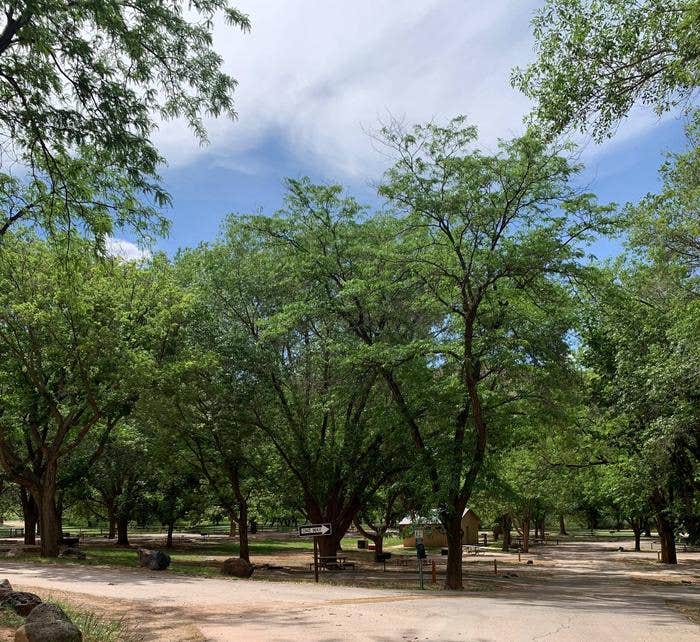 Camper submitted image from Fruita Campground — Capitol Reef National Park - 1