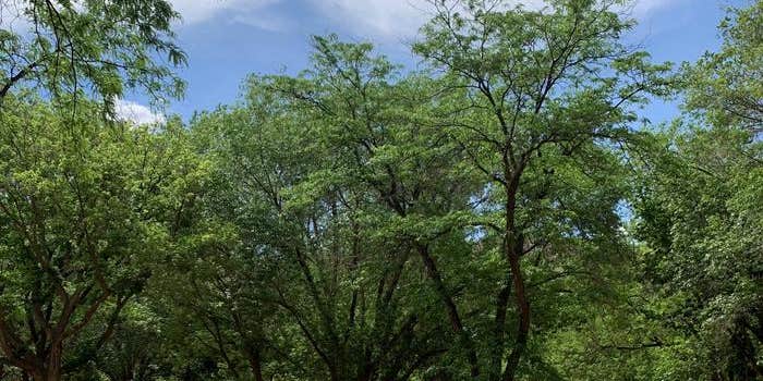 Camper submitted image from Fruita Campground — Capitol Reef National Park