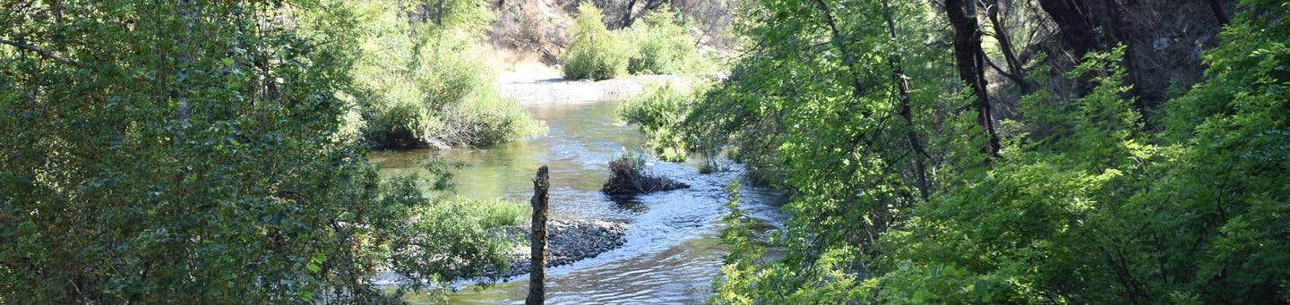 Camper submitted image from Peltier Bridge Primitive Campground — Whiskeytown-Shasta-Trinity National Recreation Area - 2