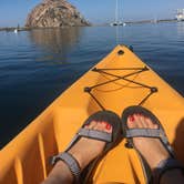 Review photo of Morro Bay State Park Campground by Chanel C., October 16, 2017