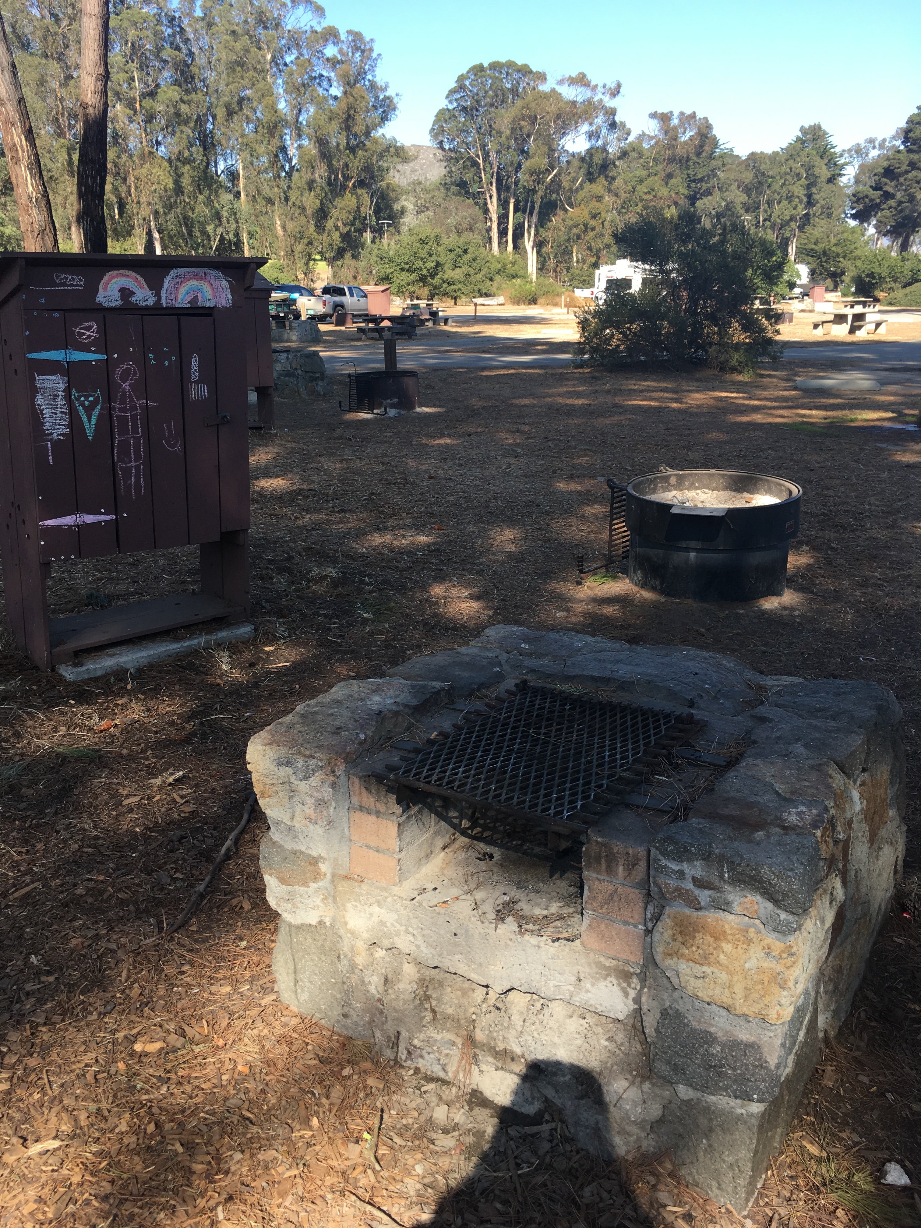 Camper submitted image from Morro Bay State Park Campground - 5