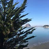 Review photo of Morro Bay State Park Campground by Chanel C., October 16, 2017