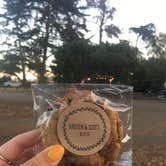 Review photo of Morro Bay State Park Campground by Chanel C., October 16, 2017