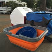 Review photo of Morro Bay State Park Campground by Chanel C., October 16, 2017