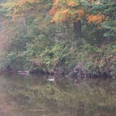 Review photo of Passaconaway Campground by Rita M., October 16, 2017