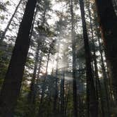 Review photo of Passaconaway Campground by Rita M., October 16, 2017