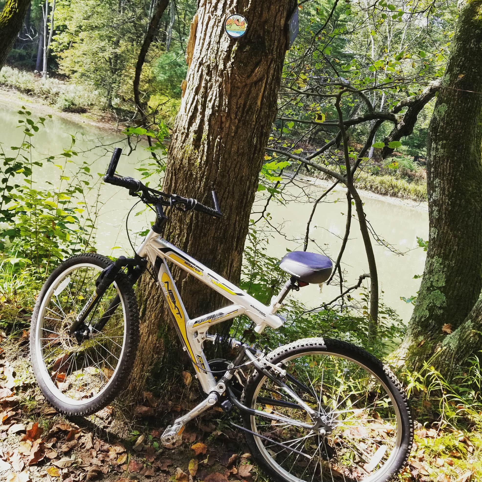 Chenango Valley State Park Camping The Dyrt