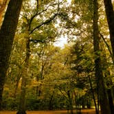 Review photo of Chenango Valley State Park Campground by Paully B., October 16, 2017