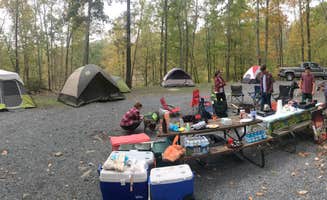 Sarah L.'s photo at Cranberry Run Campground near Pocono Pines, PA