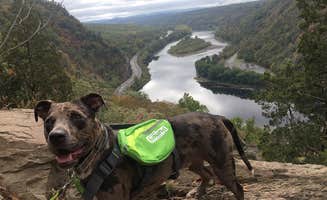 Sarah L.'s photo of camping with pets at Cranberry Run Campground near Delaware Water Gap National Recreation Area