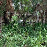 Review photo of Fort De Soto Campground by David B., June 10, 2020