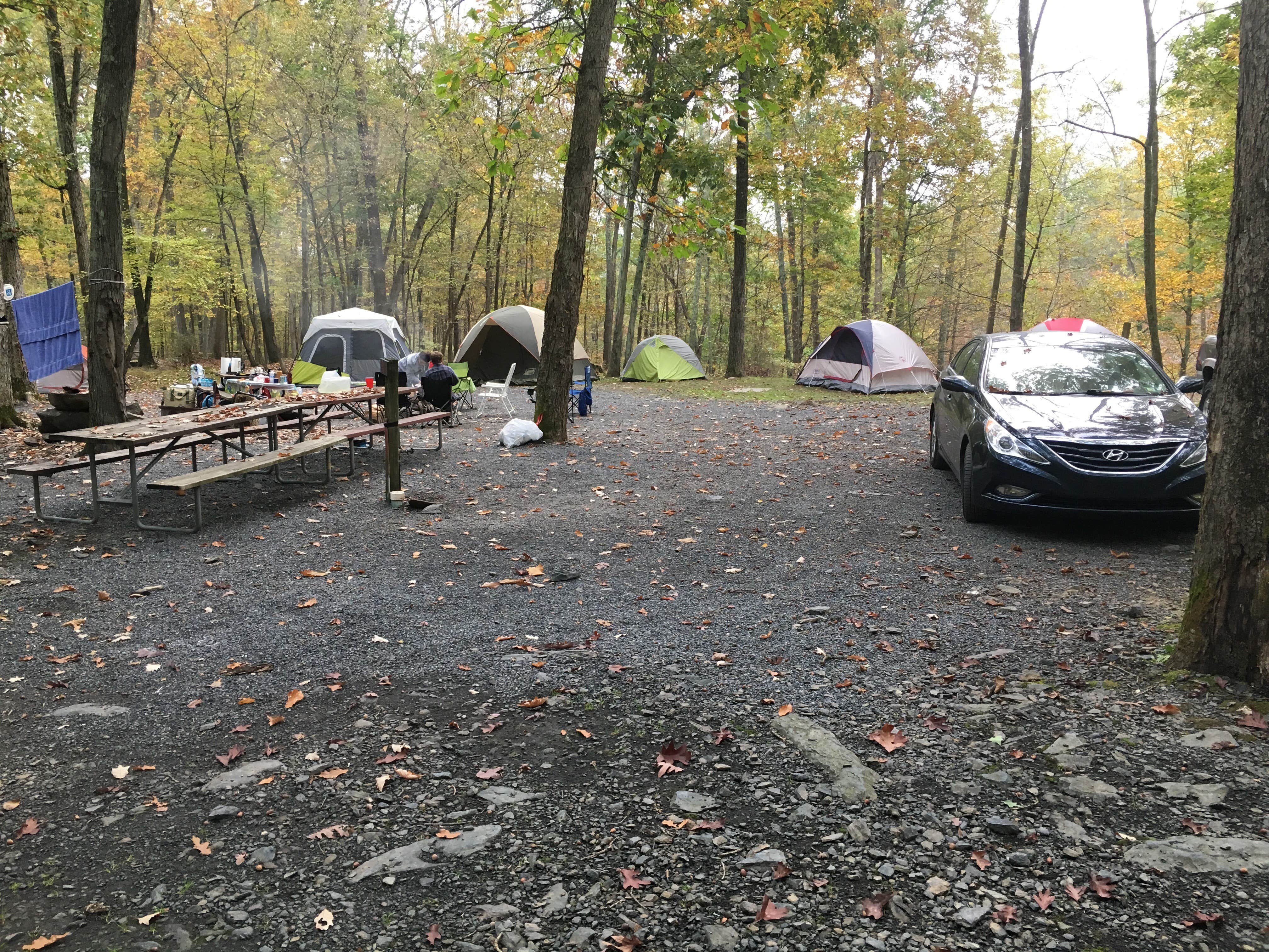 Campsites